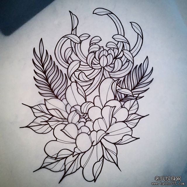 牡丹菊花纹身图案手稿