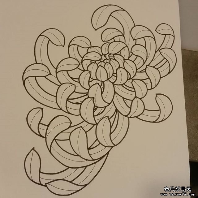 传统菊花纹身图案手稿
