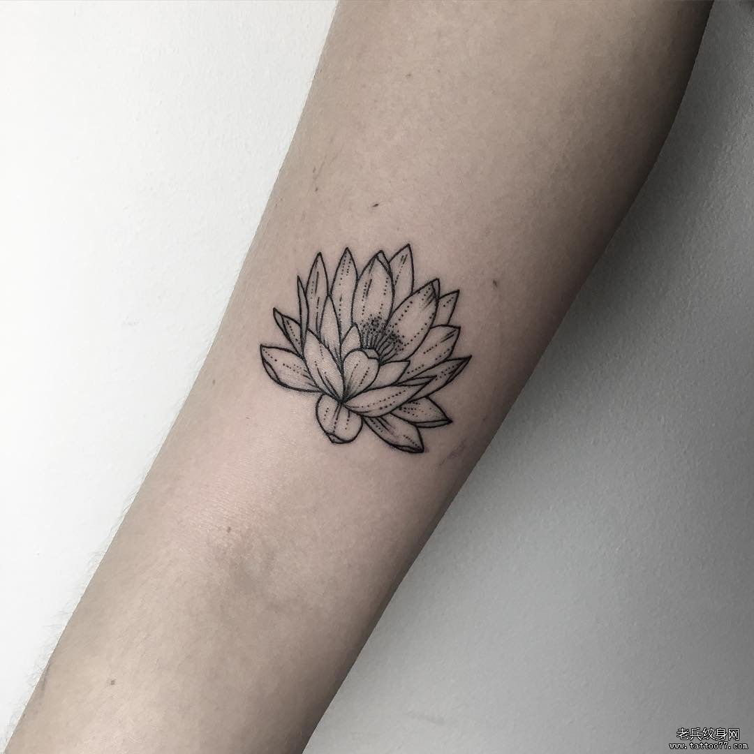 大臂点刺线条小清新莲花纹身图案