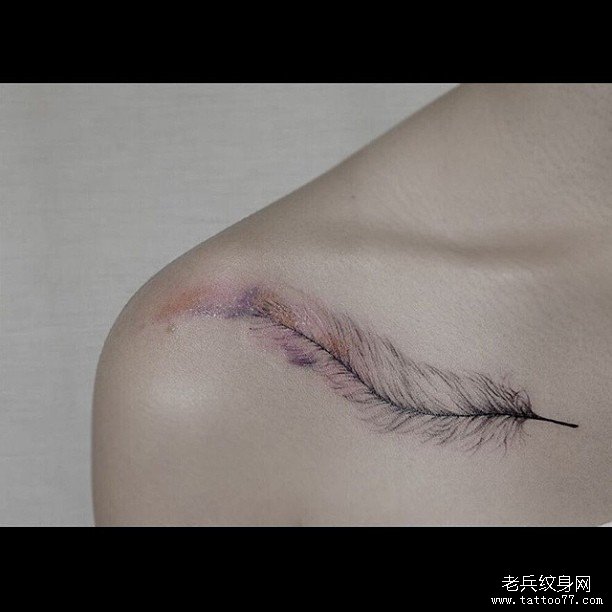 锁骨彩色小清新羽毛纹身图案