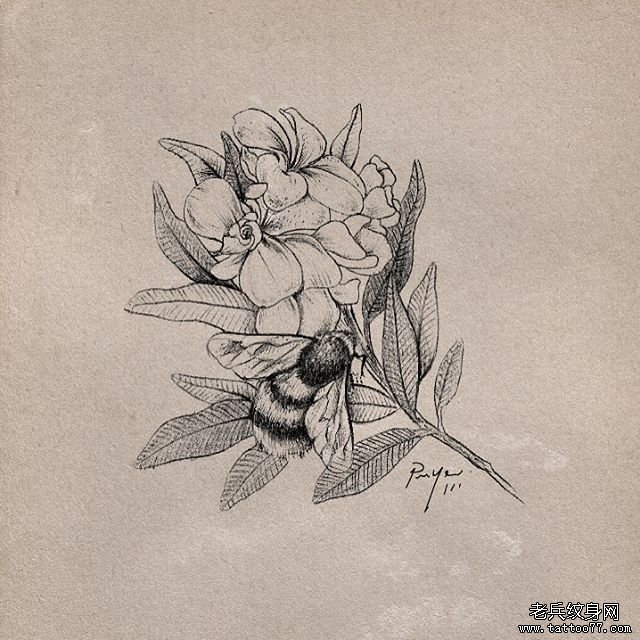 欧美蜜蜂花卉纹身图案手稿