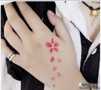 樱花 素材