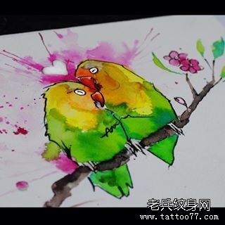 泼墨水彩鹦鹉纹身图案手稿