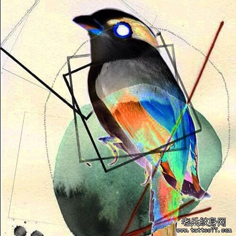 彩色几何鸟纹身图案手稿