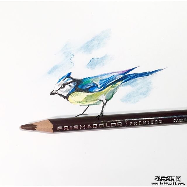 泼墨水彩鸟纹身图案手稿