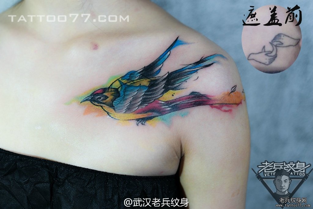 妹子胸部水彩燕子纹身图案作品遮盖旧纹身