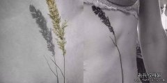 放慢脚步，留心，拥抱生活