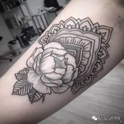 素色牡丹