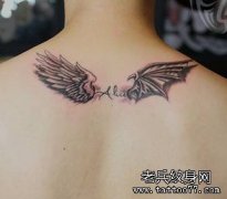 自由飞翔