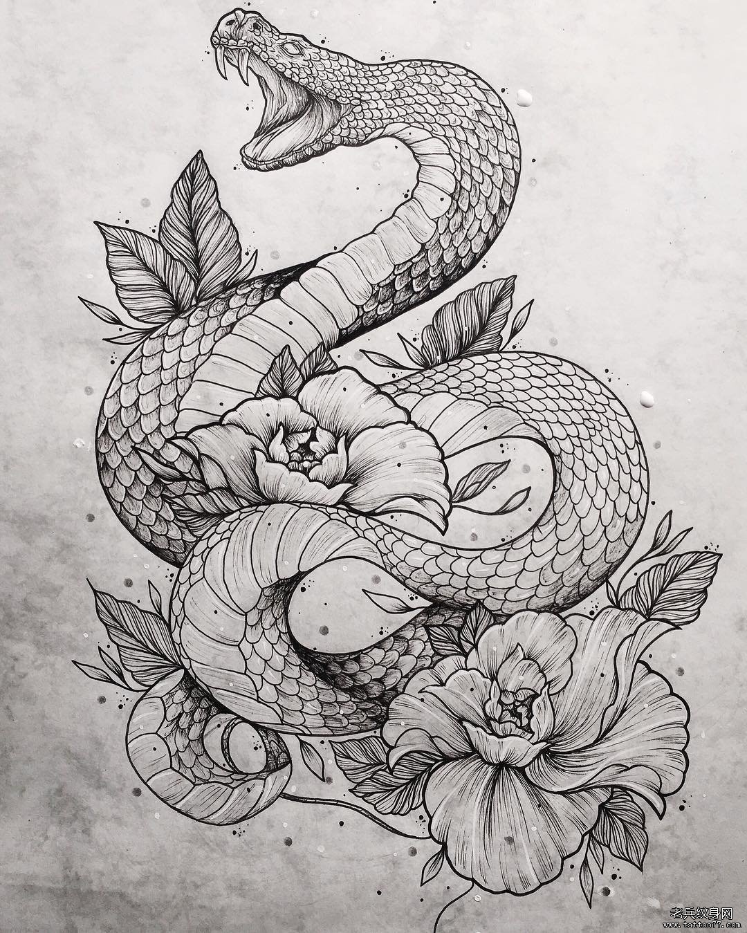 欧美蛇 玫瑰纹身图案手稿