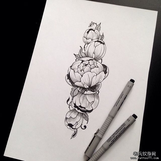 欧美花卉纹身图案手稿