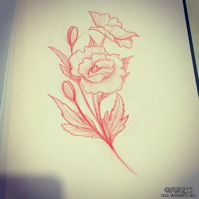 欧美花卉纹身图案手稿