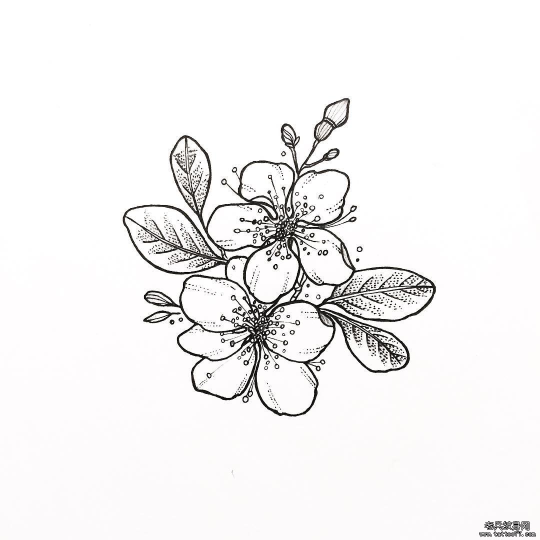 小清新樱花纹身图案手稿
