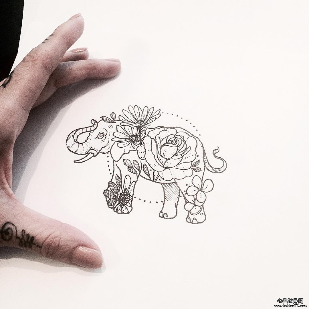 欧美花卉大象纹身图案手稿