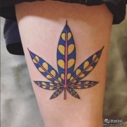 叶子