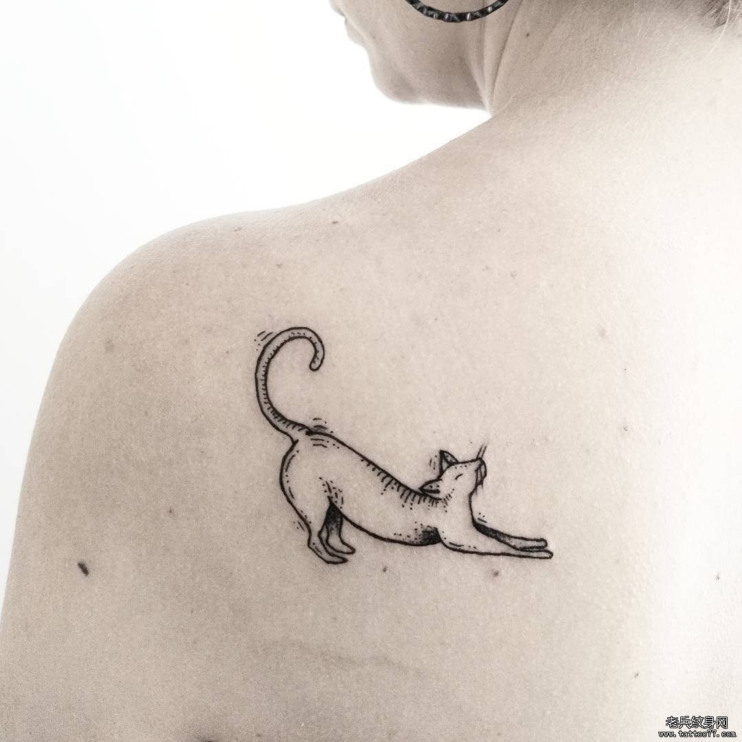 背部猫咪线条小清新纹身图案