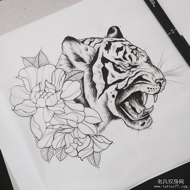 欧美school老虎花卉纹身图案手稿
