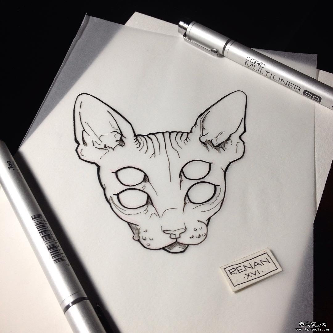 欧美猫线条纹身图案手稿