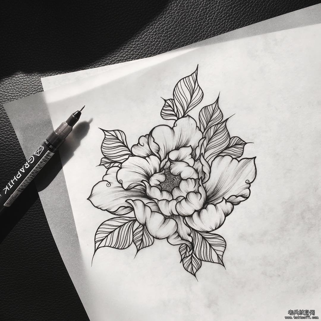 欧美school纹身菊花图案手稿