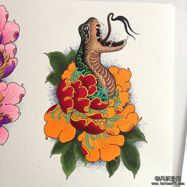 欧美菊花蛇纹身图案手稿