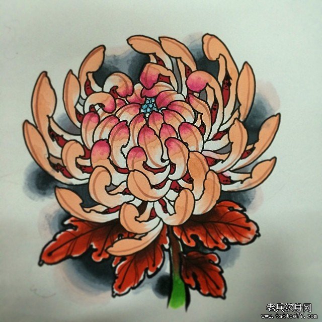 传统纹身菊花图案手稿