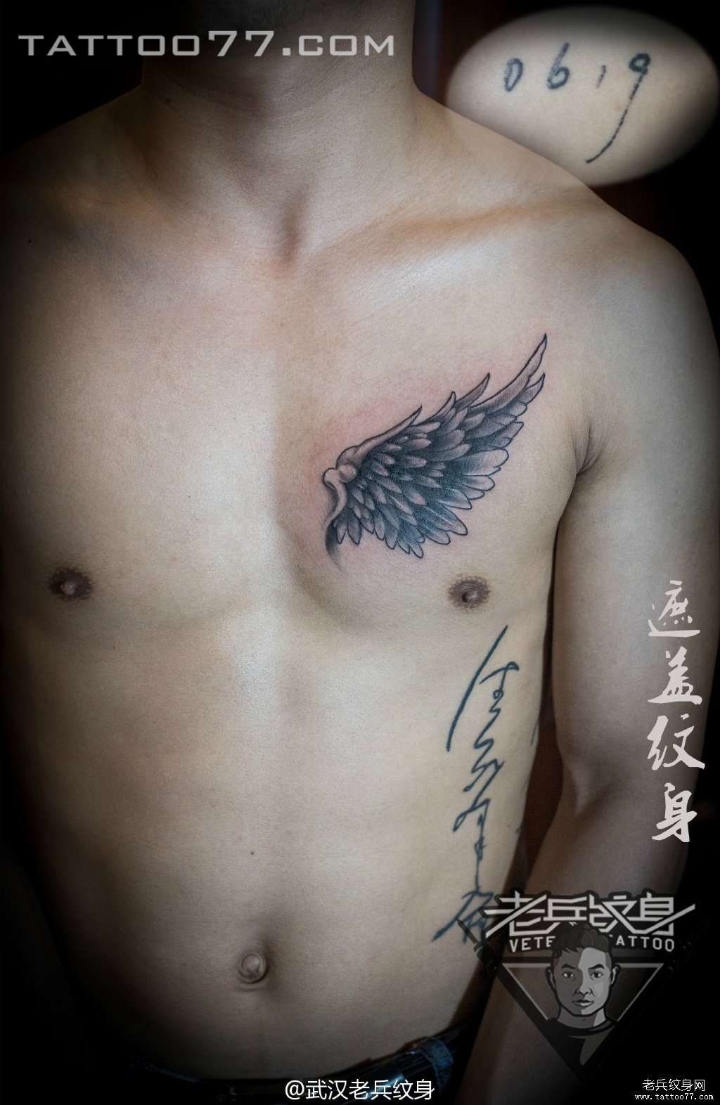 胸部翅膀纹身图案作品遮盖旧纹身
