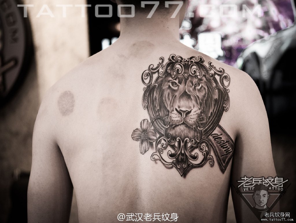 肩背狮子纹身图案作品
