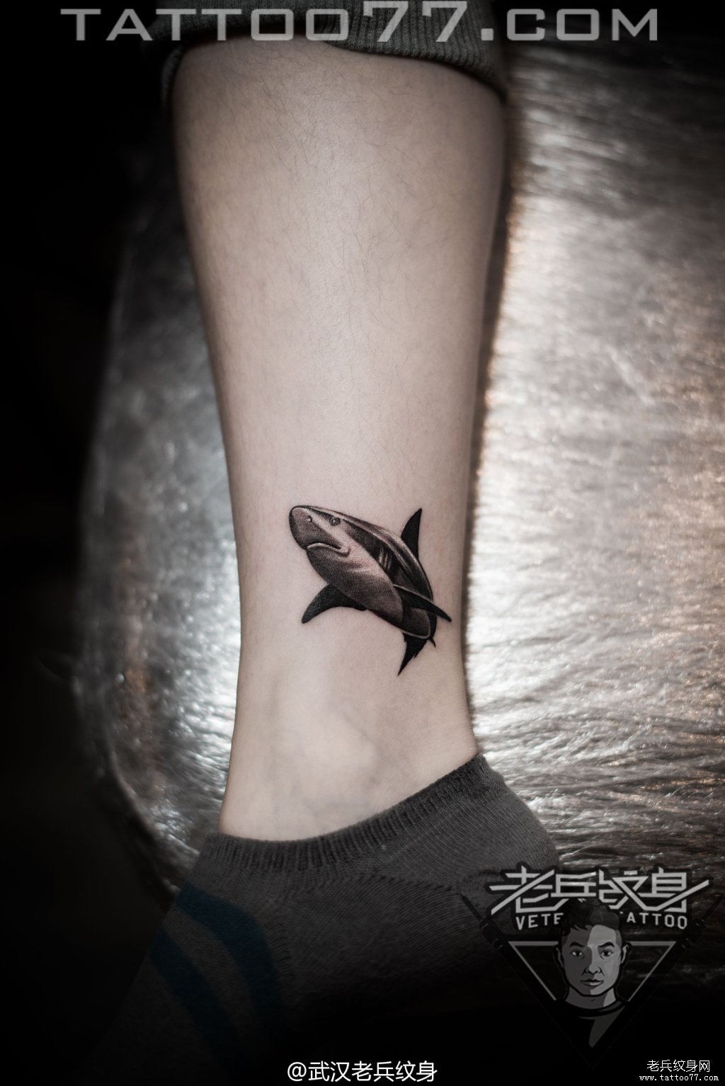 脚踝鲨鱼纹身图案作品