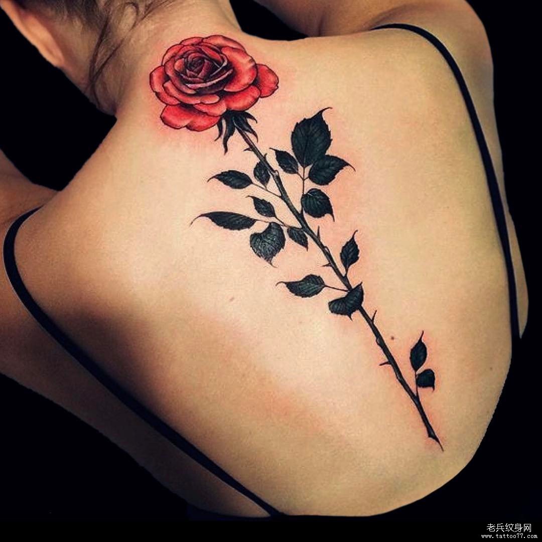 背部脊柱欧美玫瑰纹身图案