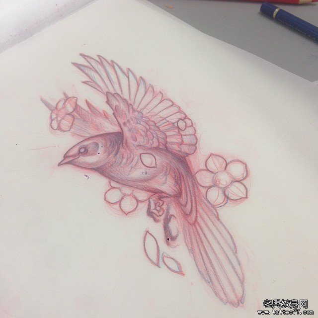 欧美school小清新鸟纹身图案手稿