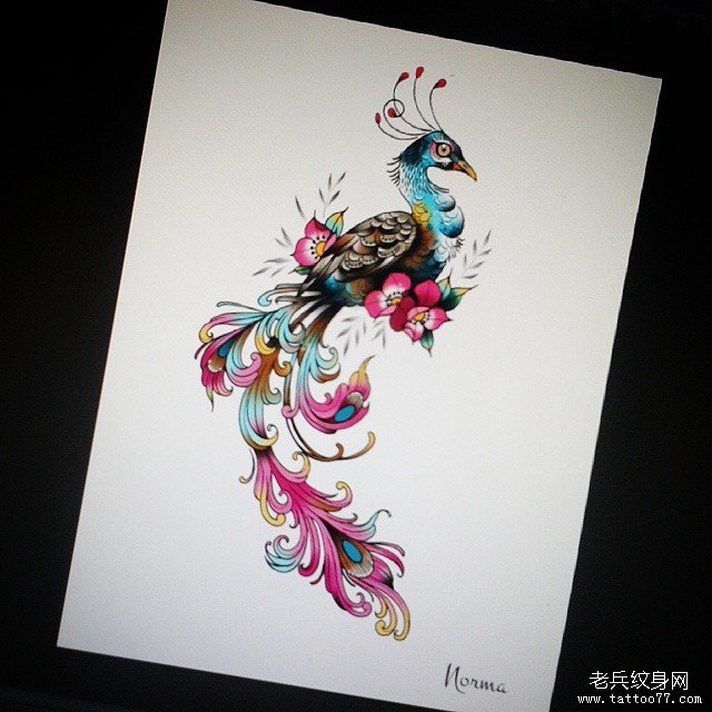 欧美泼墨孔雀彩色纹身图案手稿