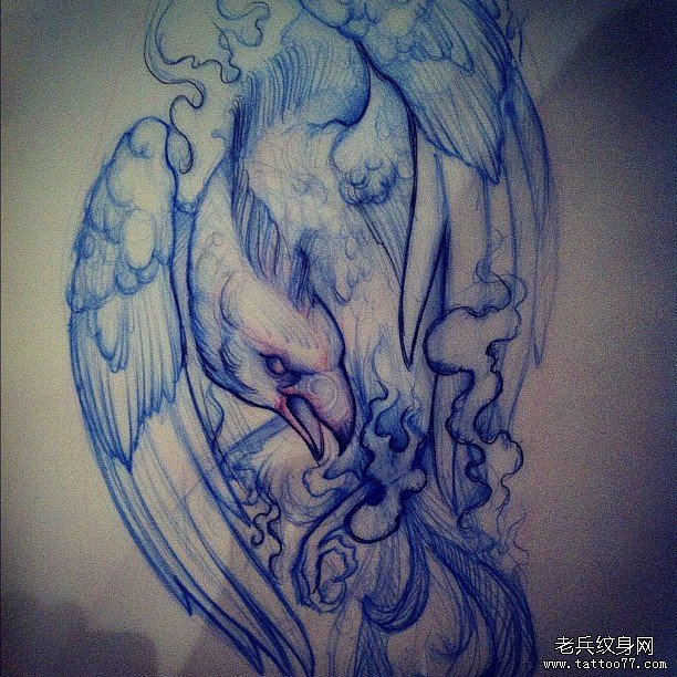 欧美school鸟纹身图案手稿
