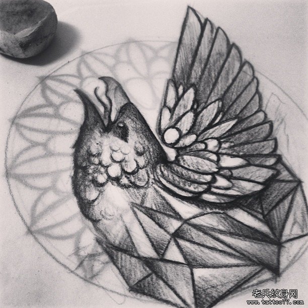 欧美school鸟纹身图案手稿