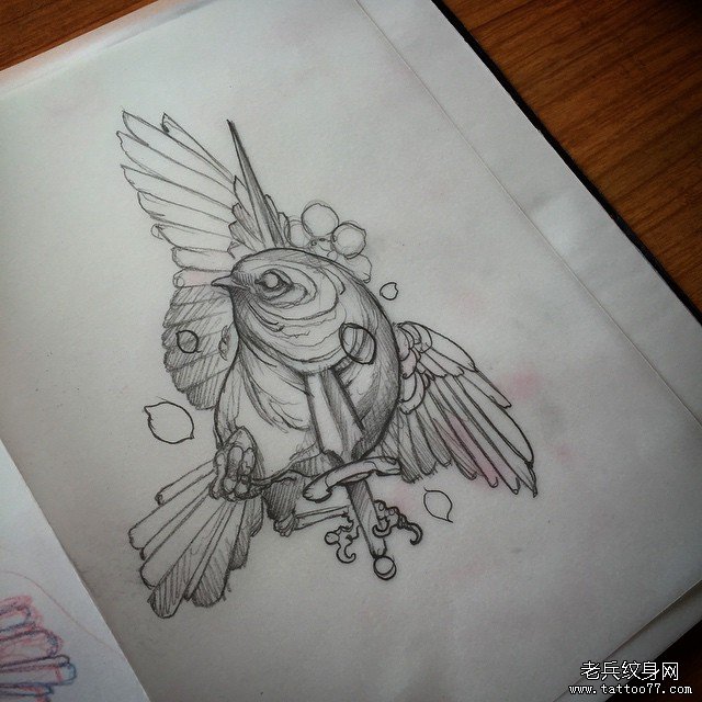 欧美school鸟匕首纹身图案手稿
