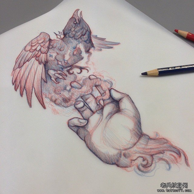欧美school鸟手纹身图案手稿
