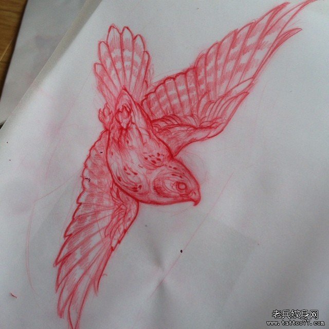 欧美school鸟纹身图案手稿