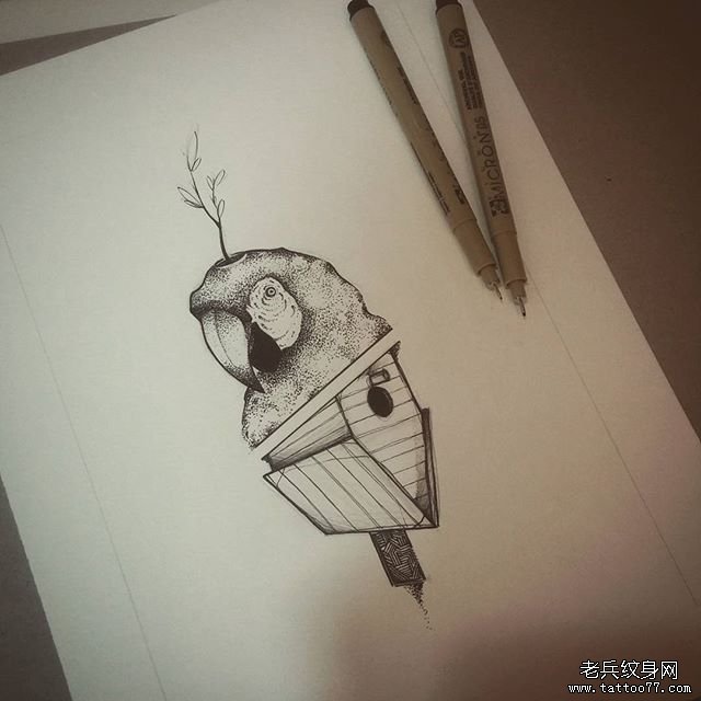 欧美点刺鹦鹉纹身图案手稿
