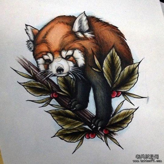 欧美school浣熊纹身图案手稿