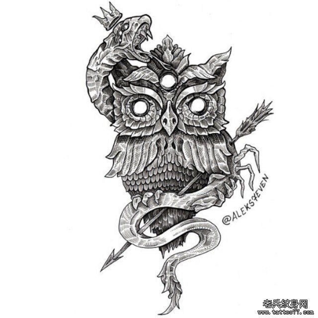 欧美猫头鹰蛇点刺纹身图案手稿