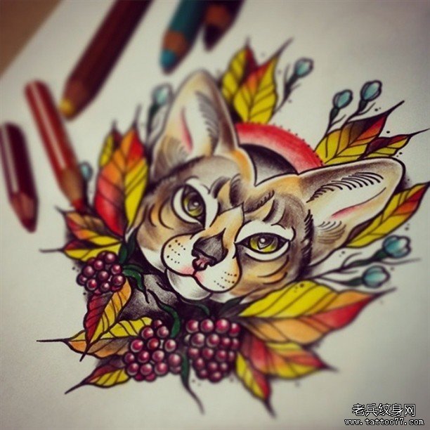 欧美school猫彩色树叶纹身图案手稿