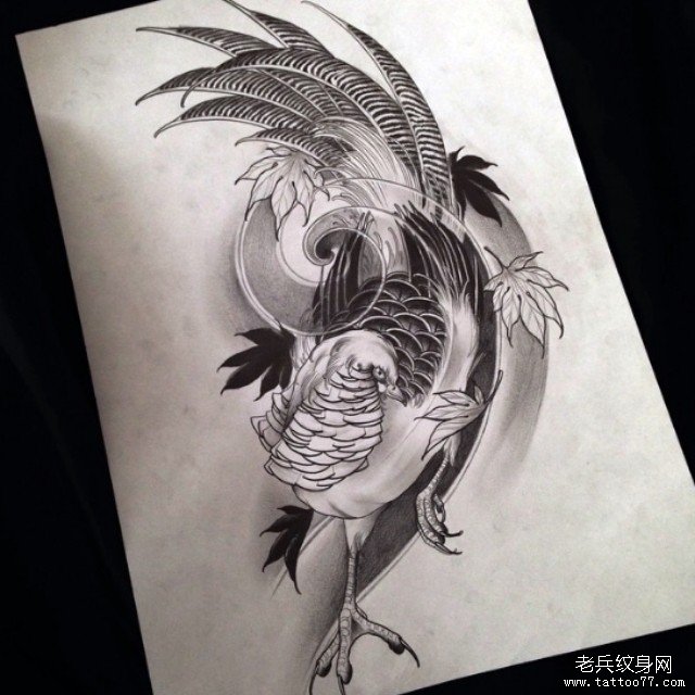 欧美黑灰孔雀纹身图案手稿
