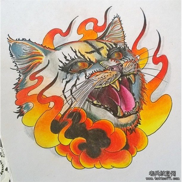 欧美school猫 彩色火焰纹身图案手稿