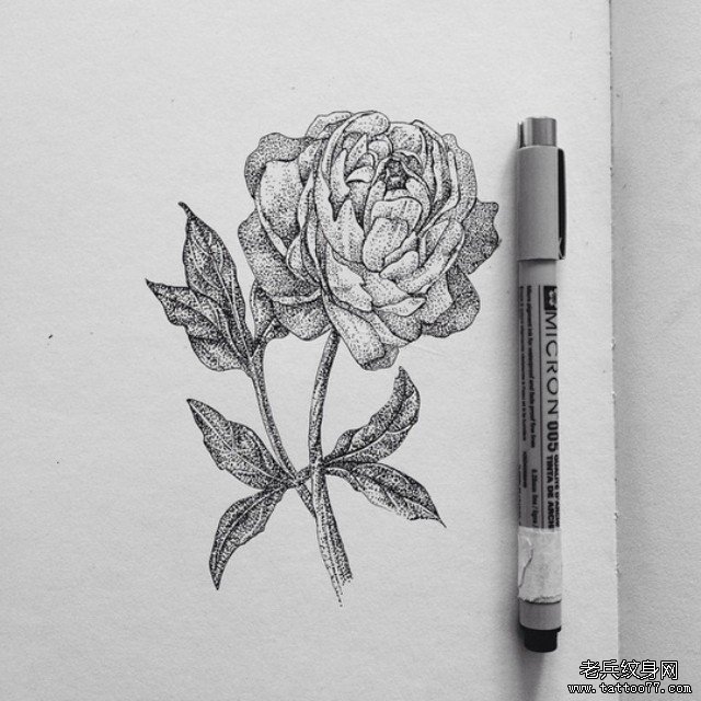 欧美黑灰点刺花卉纹身图案手稿