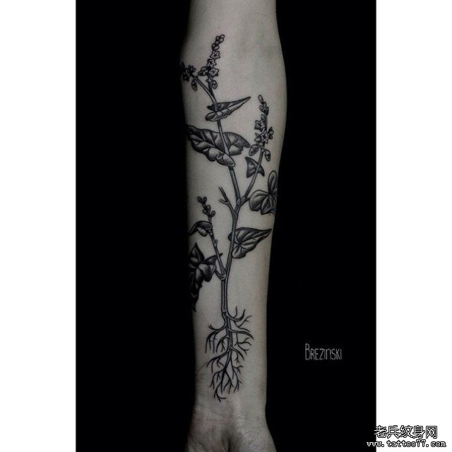 小臂黑灰植物纹身图案