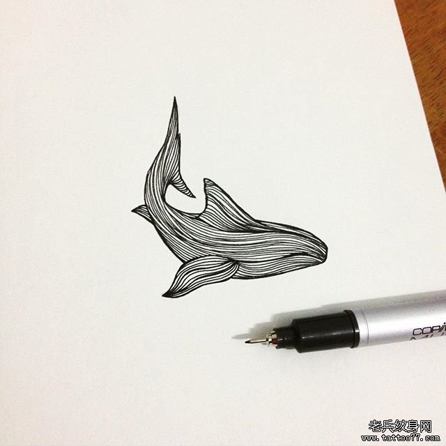 小清新线条鲸鱼纹身图案手稿