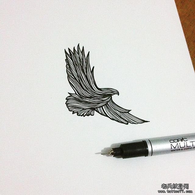 小清新线条老鹰纹身图案手稿