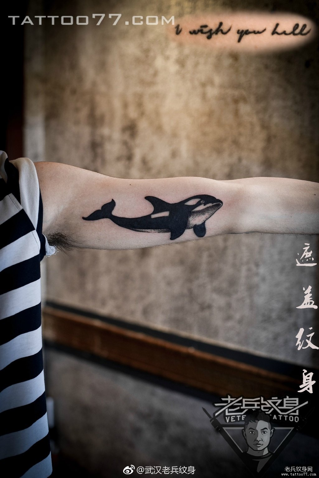 手臂内侧海豚纹身图案作品