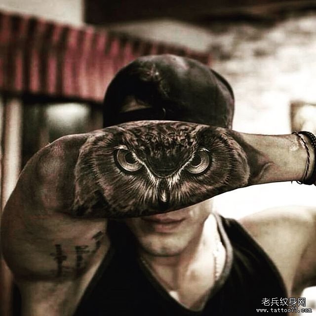 小臂猫头鹰黑灰欧美纹身图案