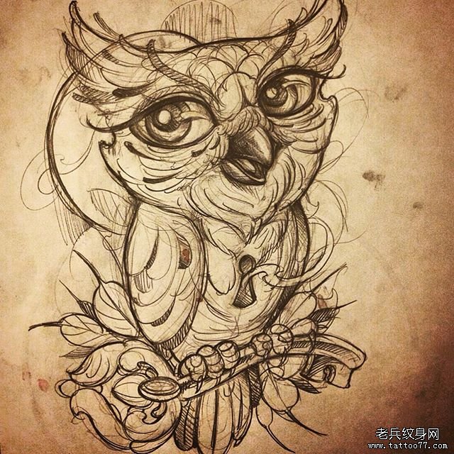 欧美school猫头鹰纹身图案手稿