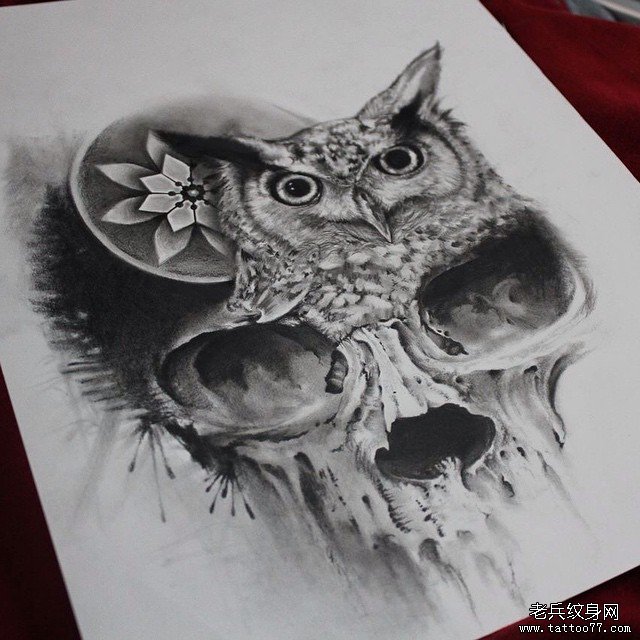 欧美骷髅猫头鹰黑灰纹身图案手稿
